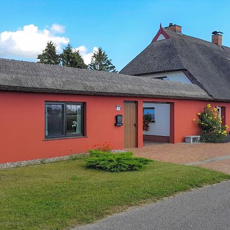 Ferienwohnung Im Roten Haus Stahlbrode Ngoại thất bức ảnh